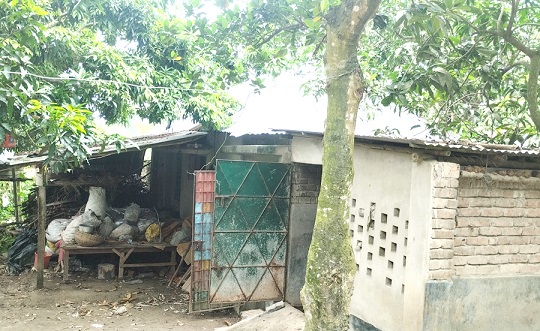 image-here